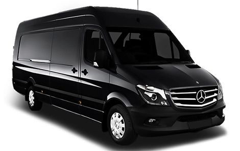 VIPMINI
